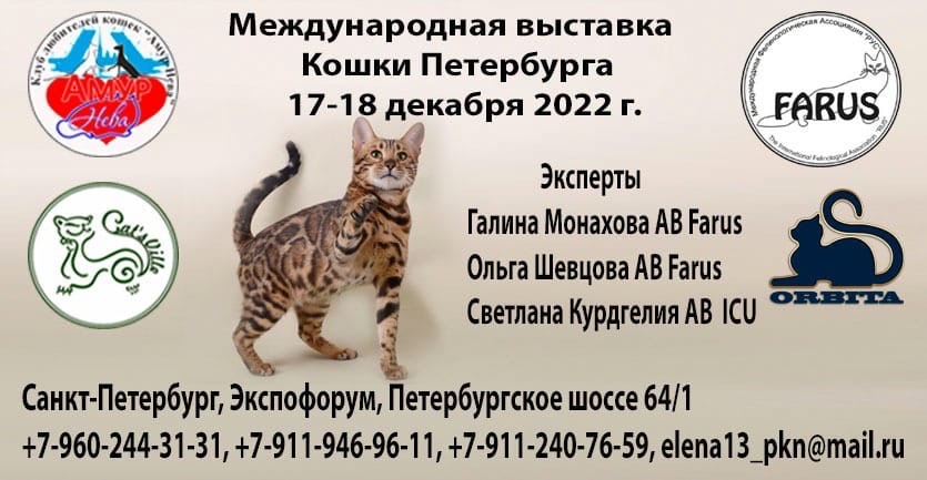 Выставки кошек 2024 расписание. Выставка кошек Екатеринбург 2023 расписание. Зоошоу март 2023 Санкт Петербург. Амур Нева Фарус. Выставка кошек на ВДНХ 2023 расписание.