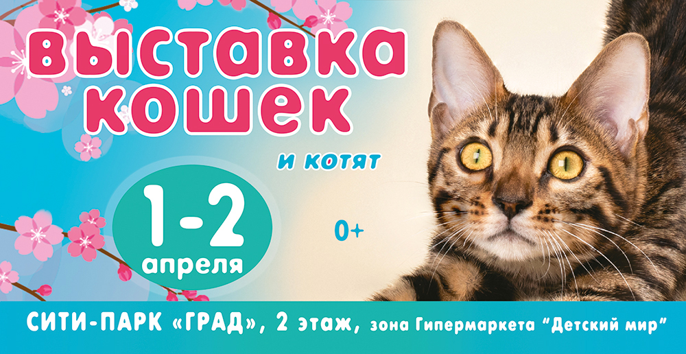 Выставка кошек воронеж. Выставка кошек Воронеж 1 апреля. Котесити.