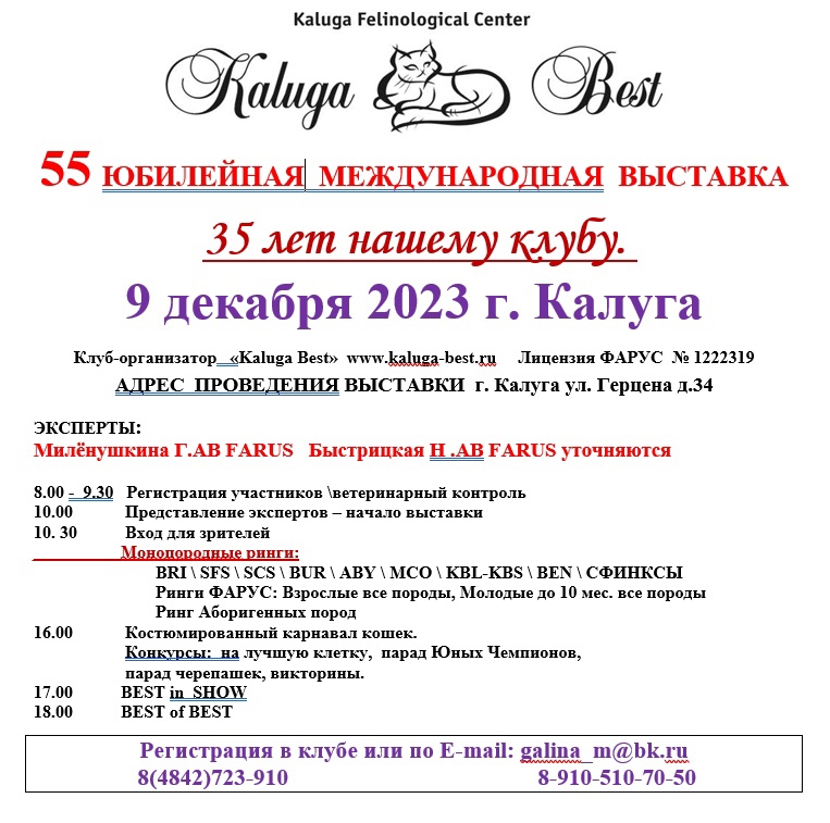 Калуга афиша 2024. Выставка кошек Новосибирск 2024 расписание.